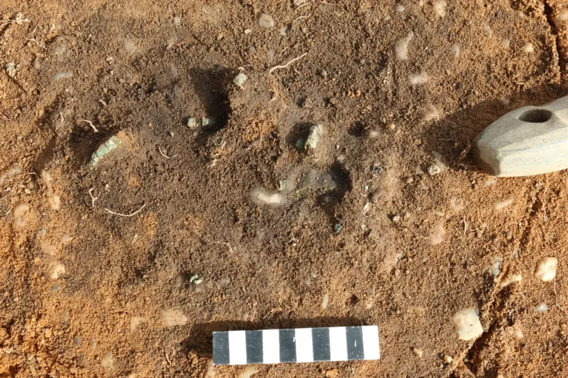 Очень хорошо сохранился: в Германии нашли некрополь в возрасте 4500 лет (фото)