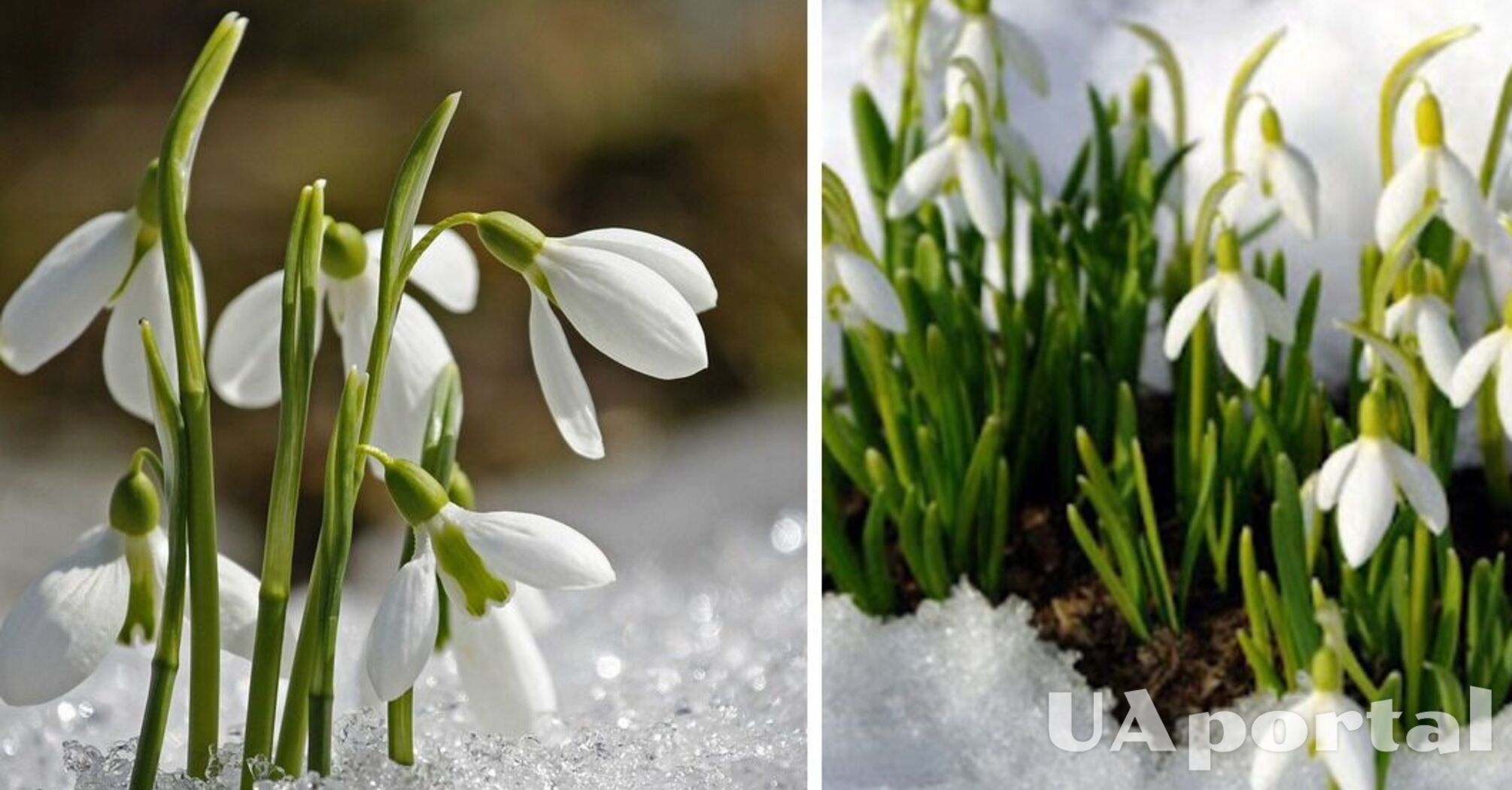 На Україну насувається чергова хвиля похолодання: коли очікувати   