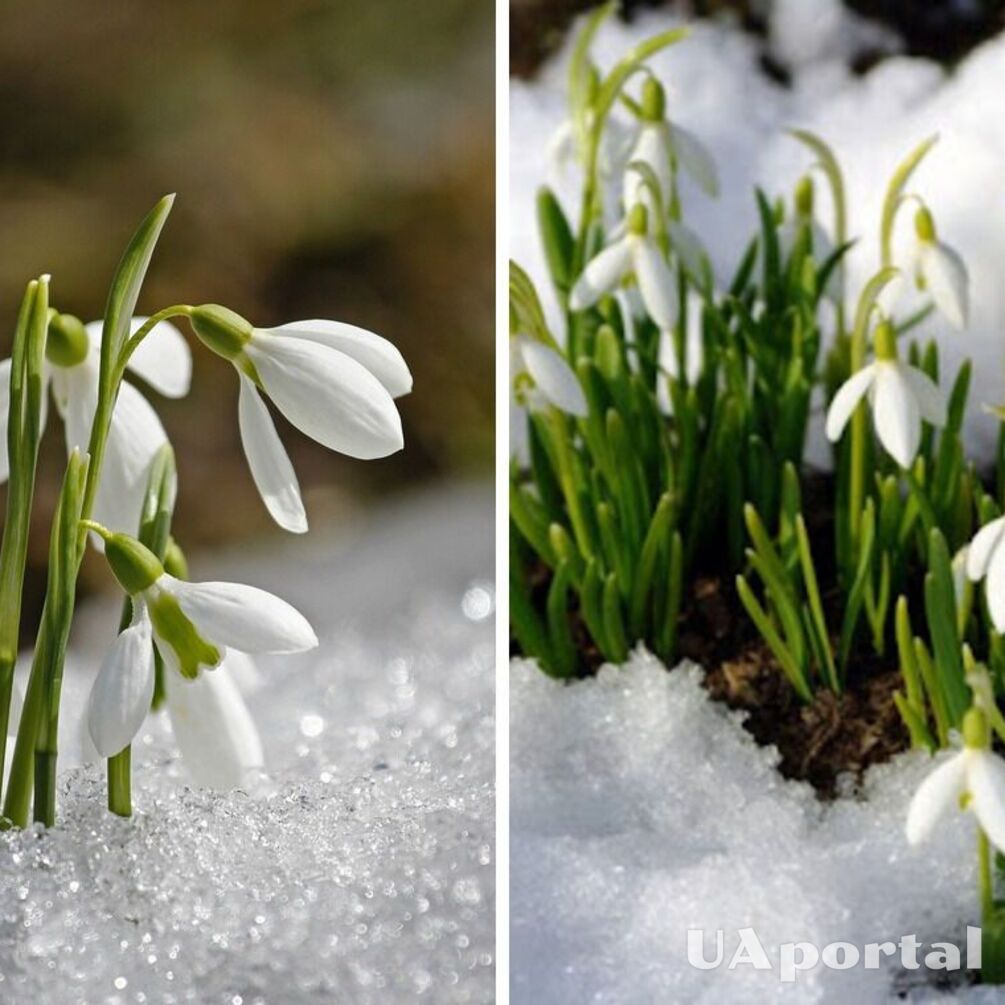На Україну насувається чергова хвиля похолодання: коли очікувати