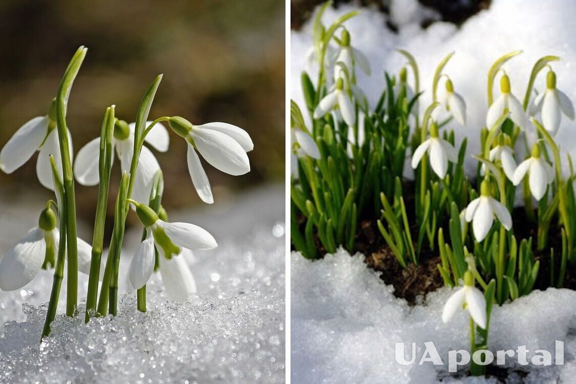 На Украину надвигается очередная волна похолодания: когда ждать