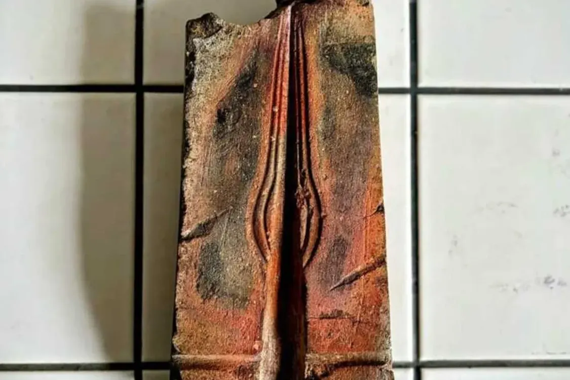 У Чехії знайшли унікальну ливарну форму бронзової доби (фото)