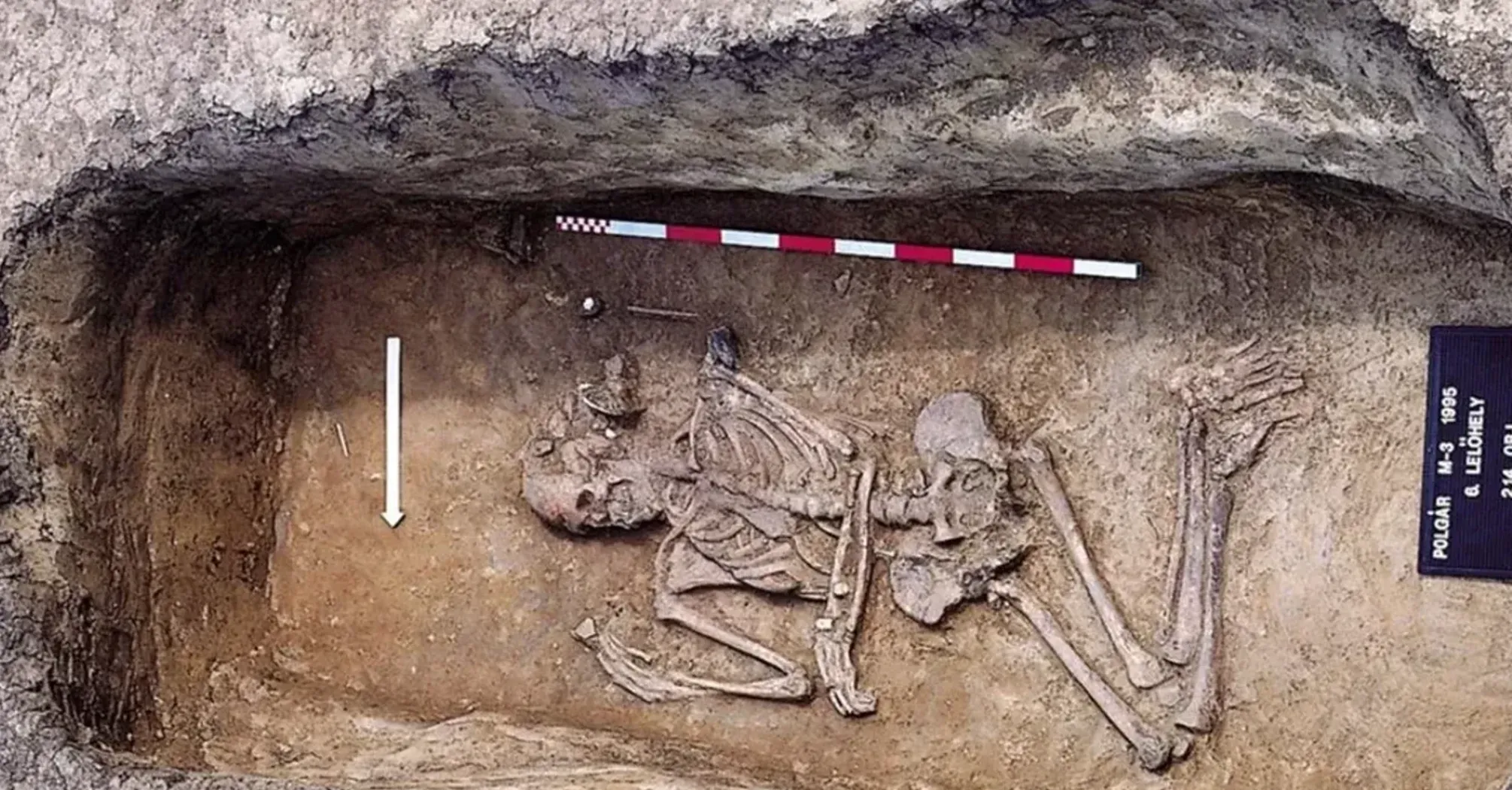 Вчені вивчили поховання віком 7000 років в Угорщині: що цікавого знайшли   