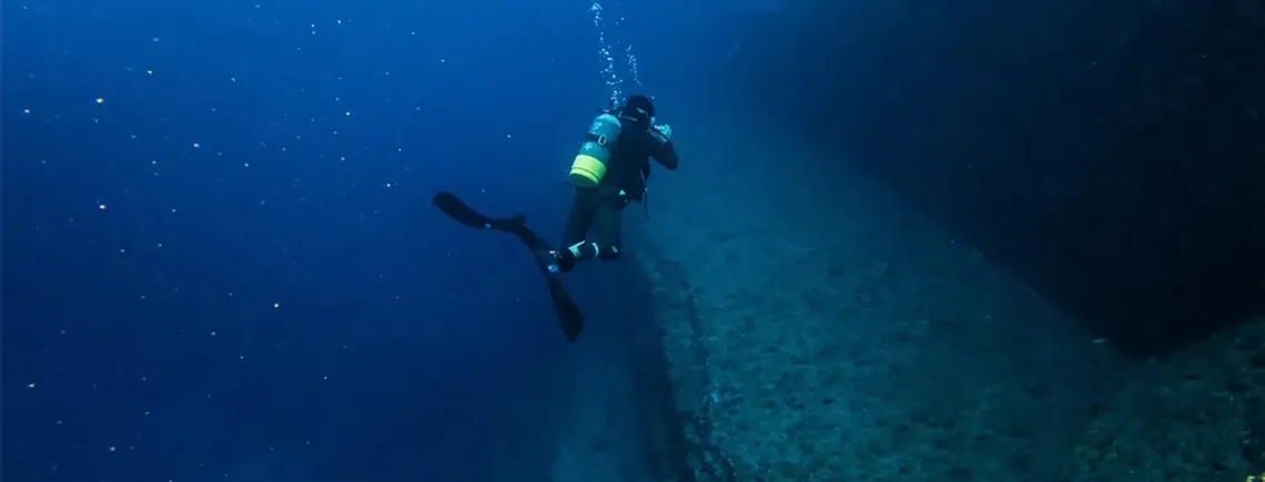 Вчені розкрили таємницю походження загадкових камʼяних споруд у Японському морі (фото)