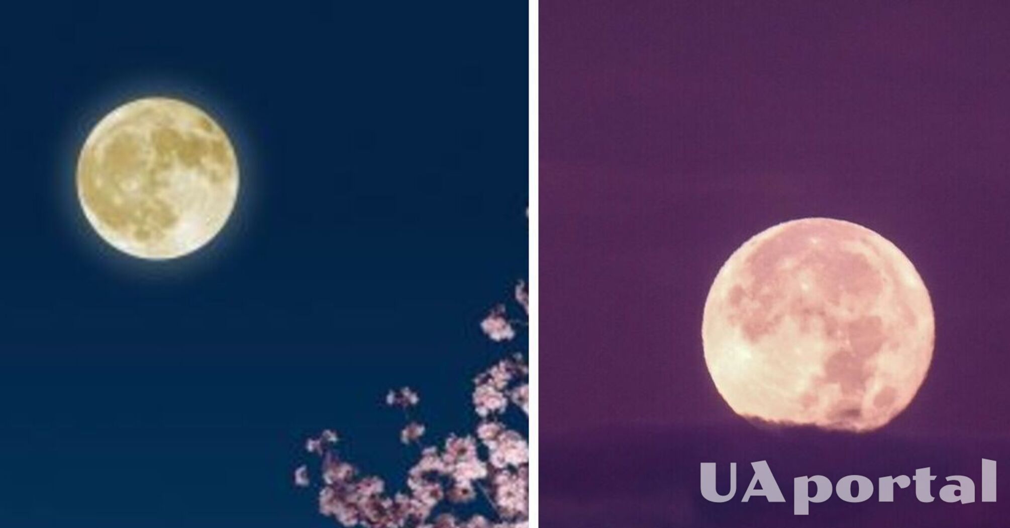 Рожева повня-2026: коли очікувати в Україні