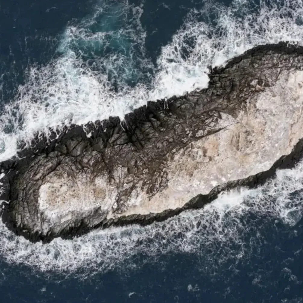 Сначала приняли его за айсберг: в Антарктиде обнаружили неизвестный остров (фото)