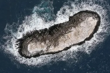 Спочатку прийняли його за айсберг: в Антарктиді виявили невідомий острів (фото)