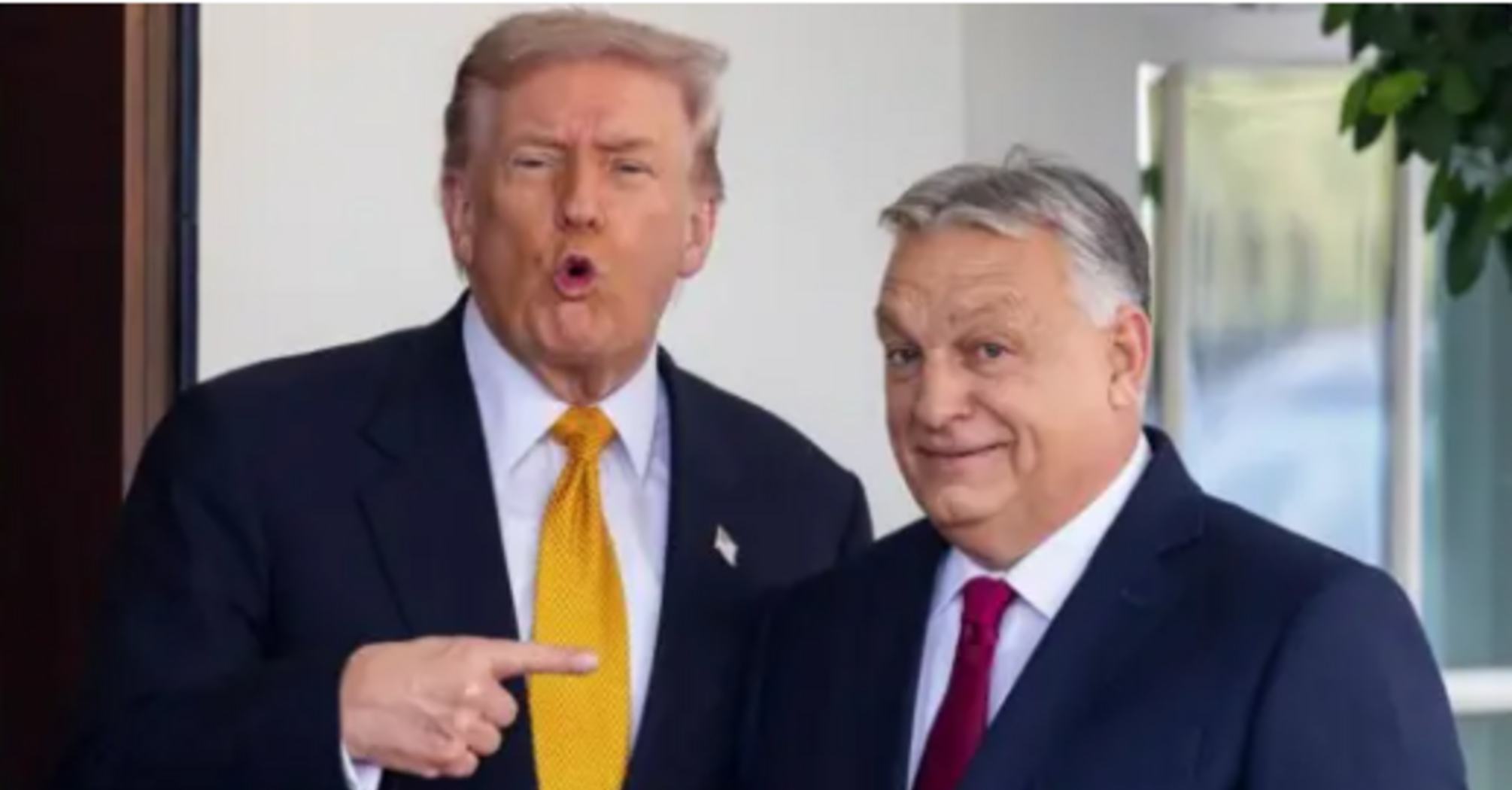 Поддержка Трампа навредила Орбану