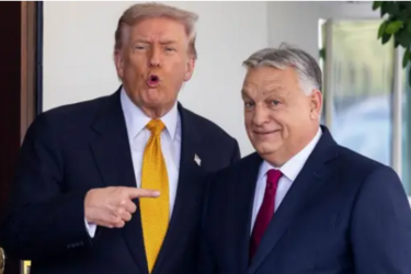 Поддержка Трампа навредила Орбану