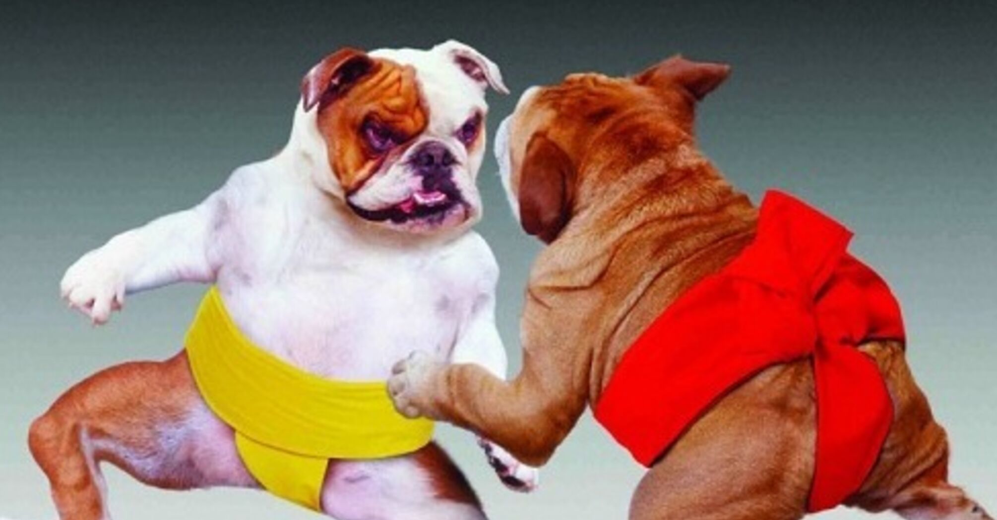 Путінська акція 'дай грошей на війну і до тебе не прийде ФСБ' з тріском провалилась