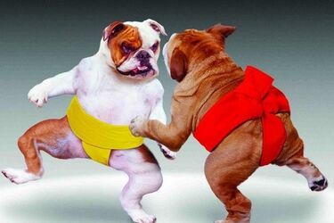 Путинская акция 'дай денег на войну и к тебе не придет ФСБ' с треском провалилась