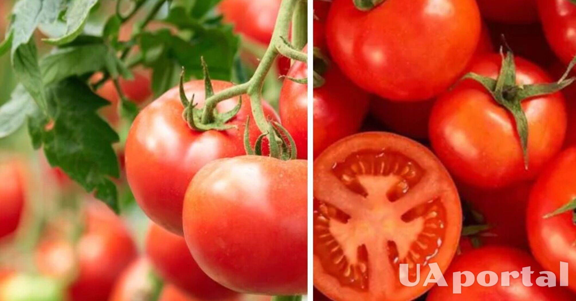 В Україні подорожчав популярний овоч: скільки коштує   