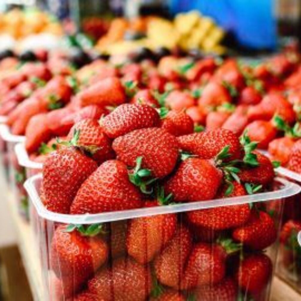 Які фрукти дозволені собакам: топ безпечних варіантів від ветеринара