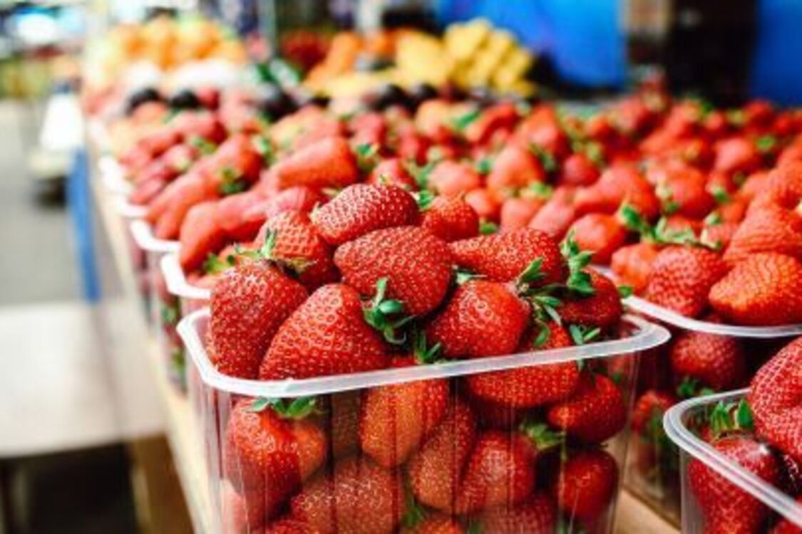 Какие фрукты разрешены собакам: топ безопасных вариантов от ветеринара