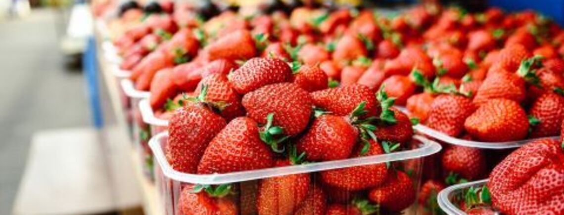 Какие фрукты разрешены собакам: топ безопасных вариантов от ветеринара