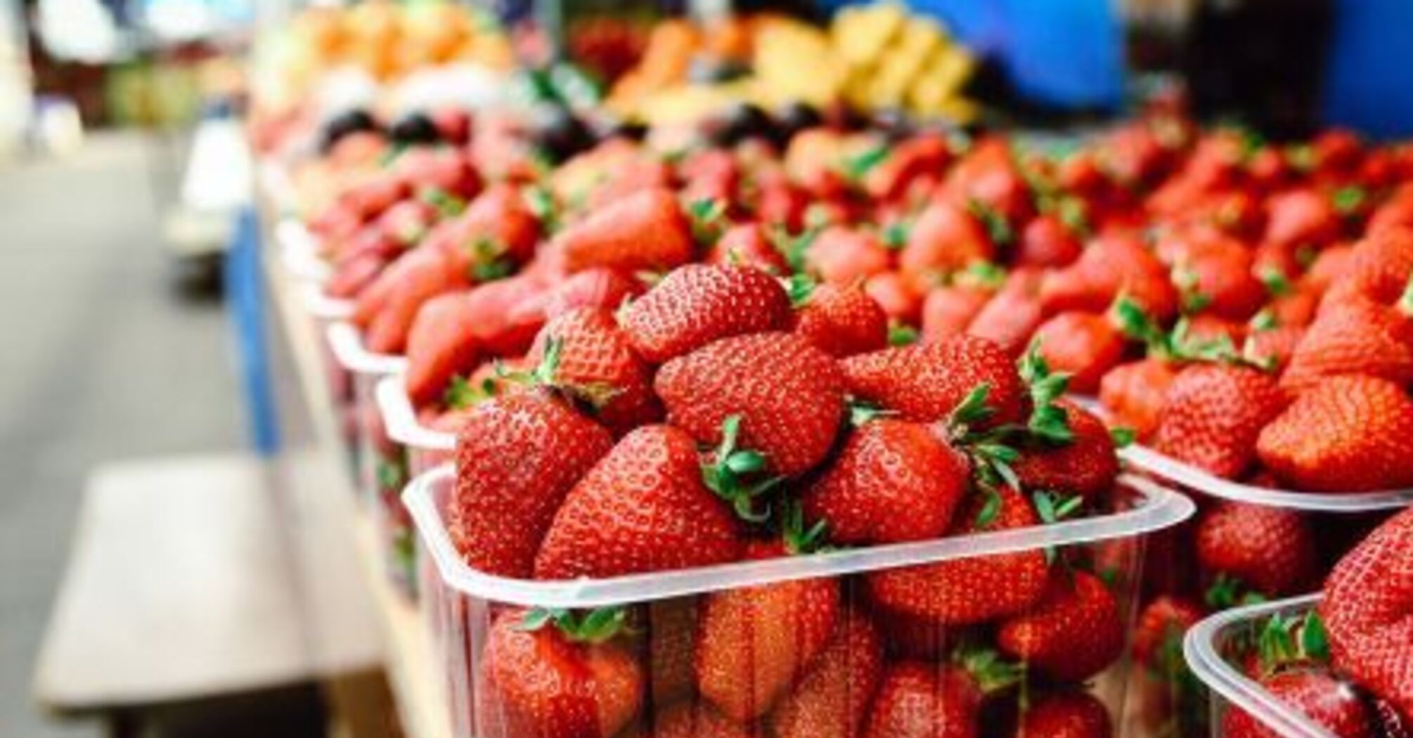 Какие фрукты разрешены собакам: топ безопасных вариантов от ветеринара