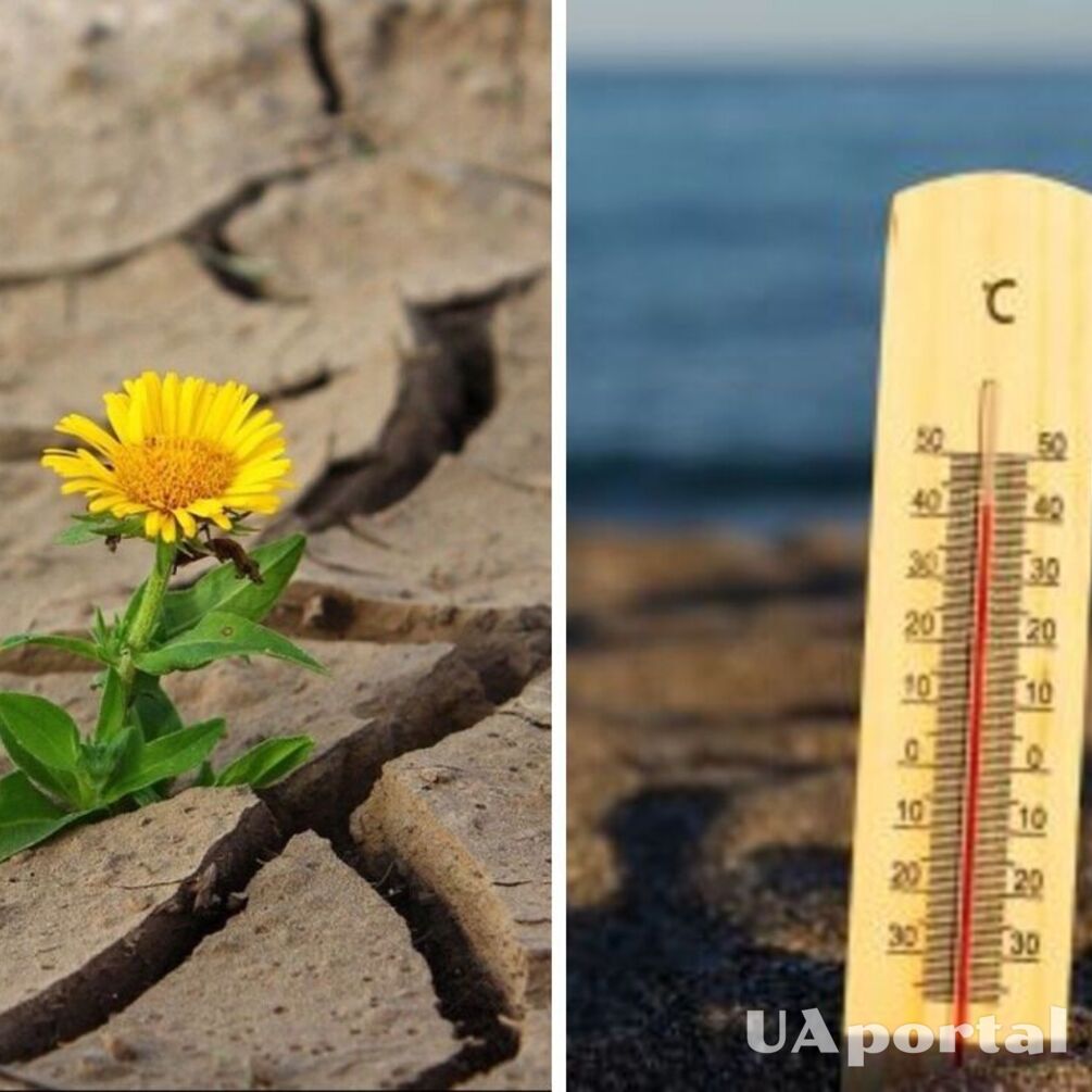 Чи варто очікувати 'аномально спекотне літо' у 2026 році: прогноз синоптиків