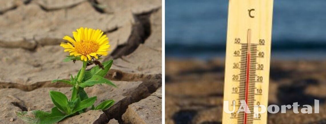 Следует ли ожидать 'аномально жаркое лето' в 2026 году: прогноз синоптиков