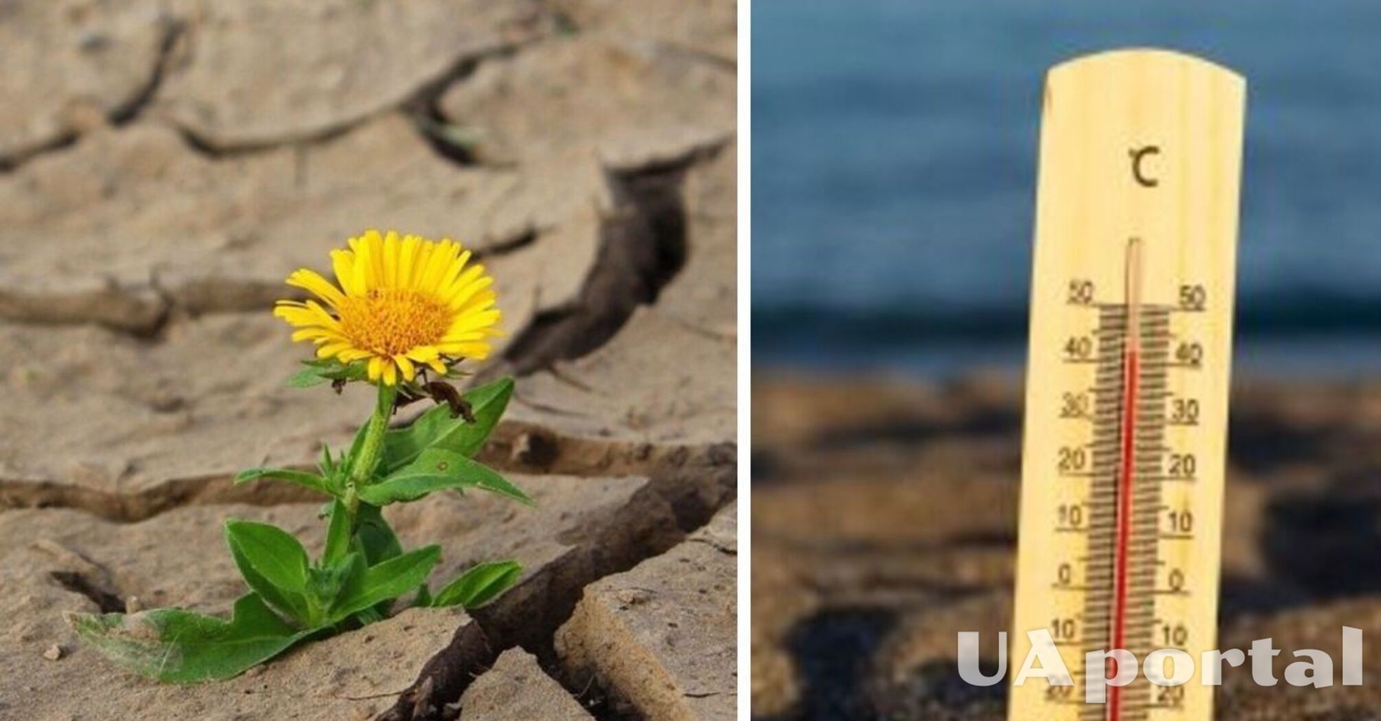 Следует ли ожидать 'аномально жаркое лето' в 2026 году: прогноз синоптиков