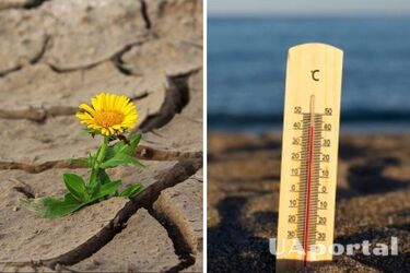 Чи варто очікувати 'аномально спекотне літо' у 2026 році: прогноз синоптиків