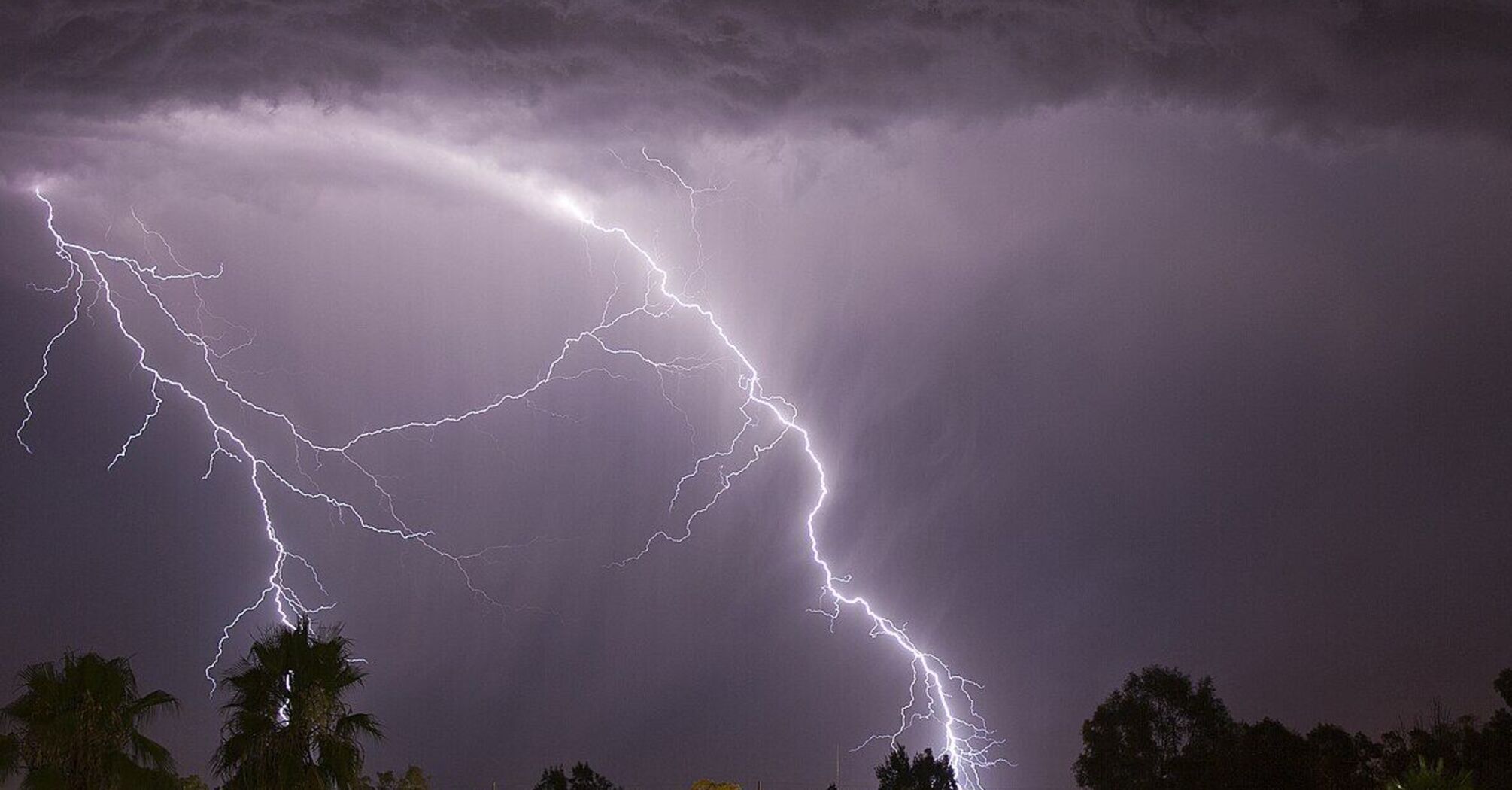 В Україні очікуються грози, тумани та мокрий сніг: коли прогнозують синоптики 