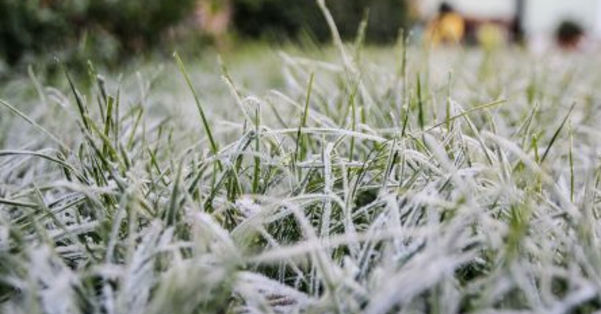 Україну накриє хвиля арктичного холоду до 3 морозу найближчими днями: якою буде погода   