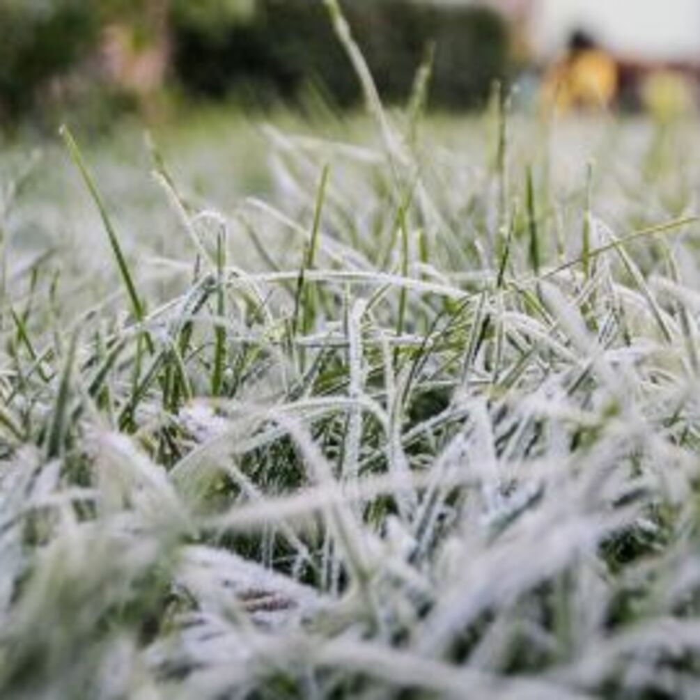 Україну накриє хвиля арктичного холоду до 3 морозу найближчими днями: якою буде погода