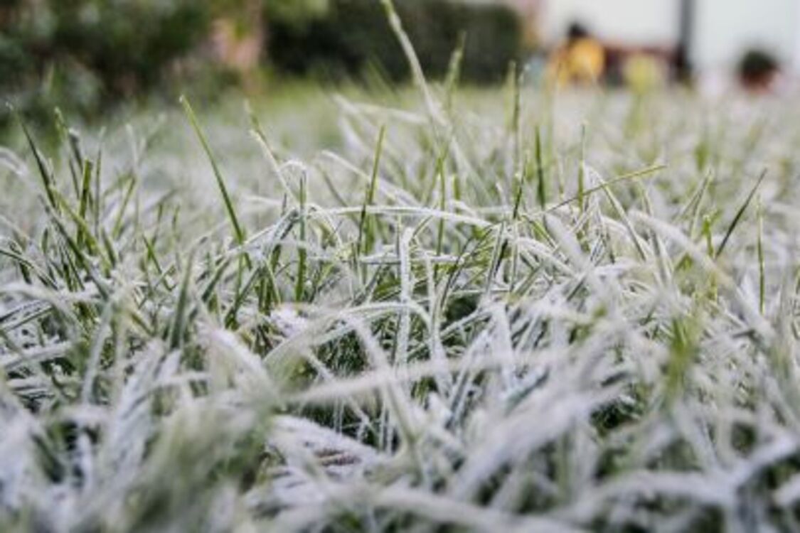 Україну накриє хвиля арктичного холоду до 3 морозу найближчими днями: якою буде погода