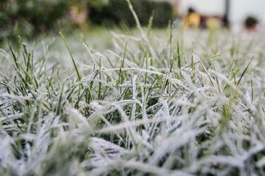 Украину накроет волна арктического холода до 3 мороза в ближайшие дни: какой будет погода