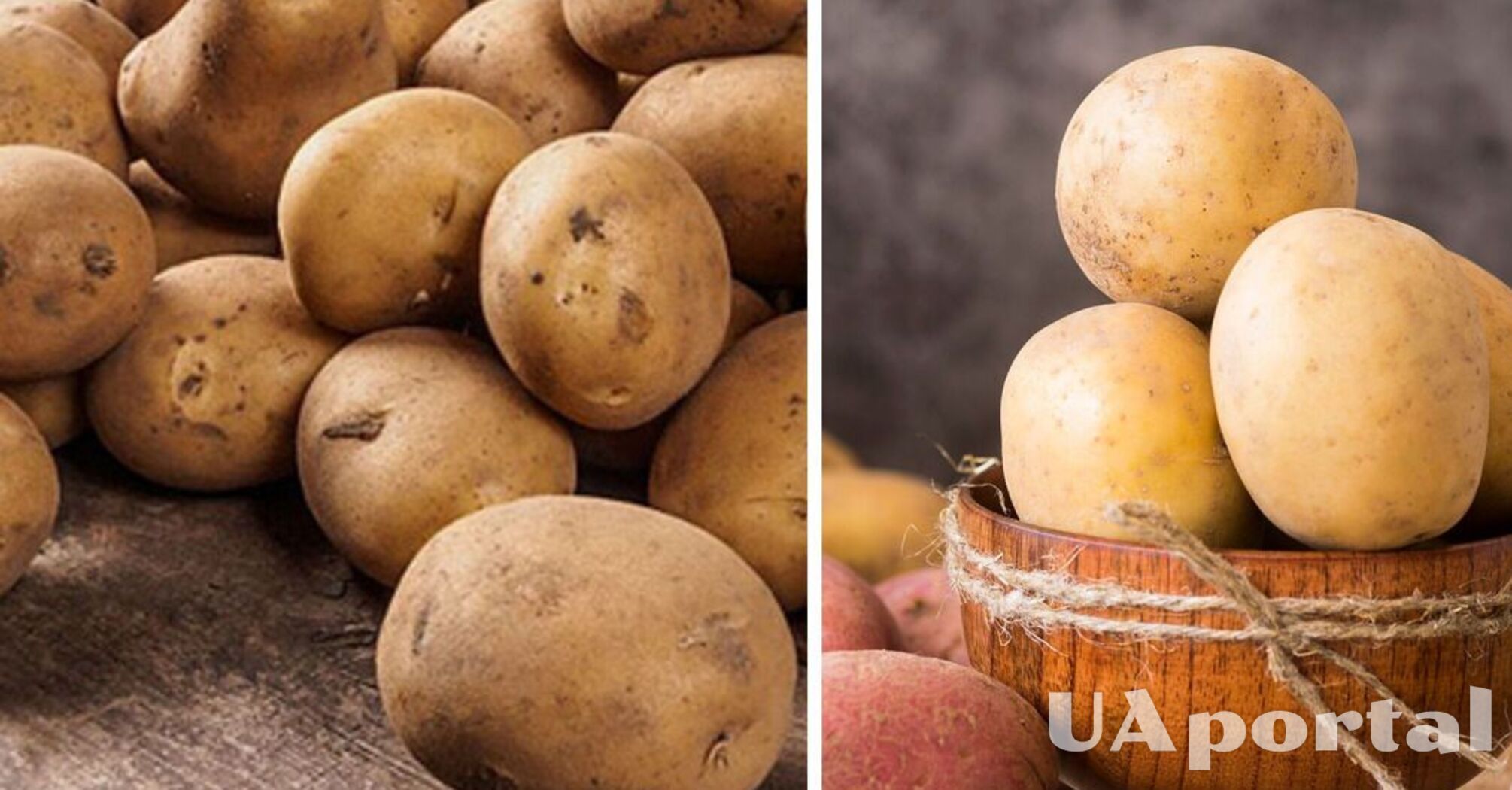 В Україні подешевшав популярний овоч: скільки коштує   