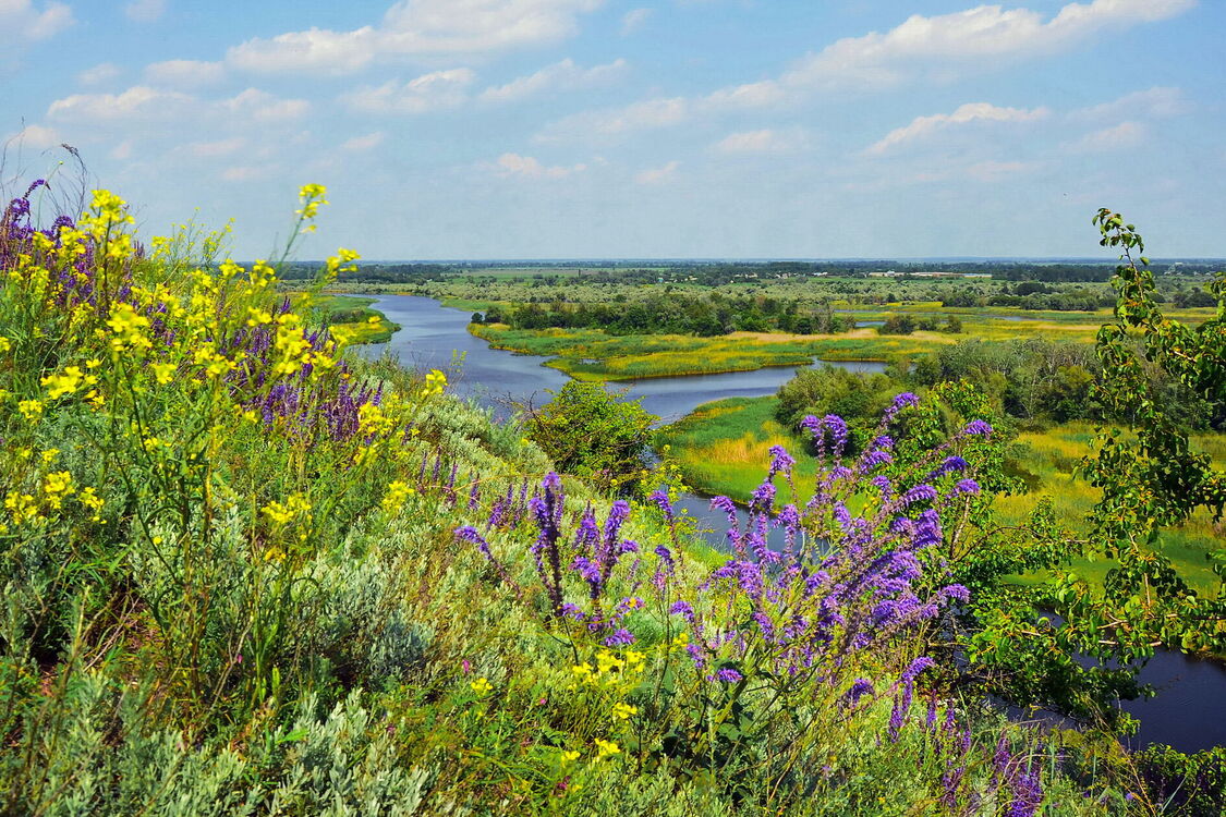 Синоптикиня повідомила, коли в Україні потепліє: чекати залишилось недовго