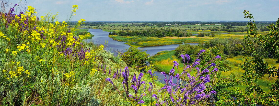 Синоптик сообщила, когда в Украине потеплеет: ждать осталось недолго