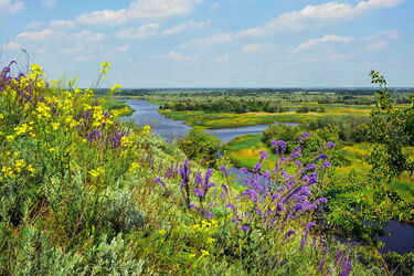 Синоптик сообщила, когда в Украине потеплеет: ждать осталось недолго