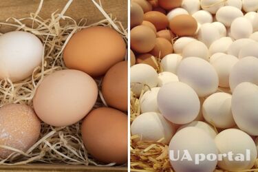 В Україні впали ціни на популярний продукт: скільки коштує