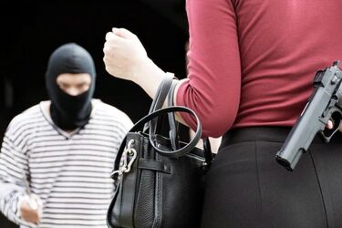 Людина і зброя: саме держава має монополію на застосування сили