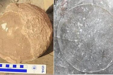 В Індії знайшли гніздо динозаврів із 256 яйцями (фото)