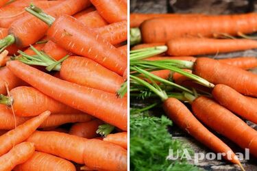 В Україні подорожчав популярний овоч: скільки коштує