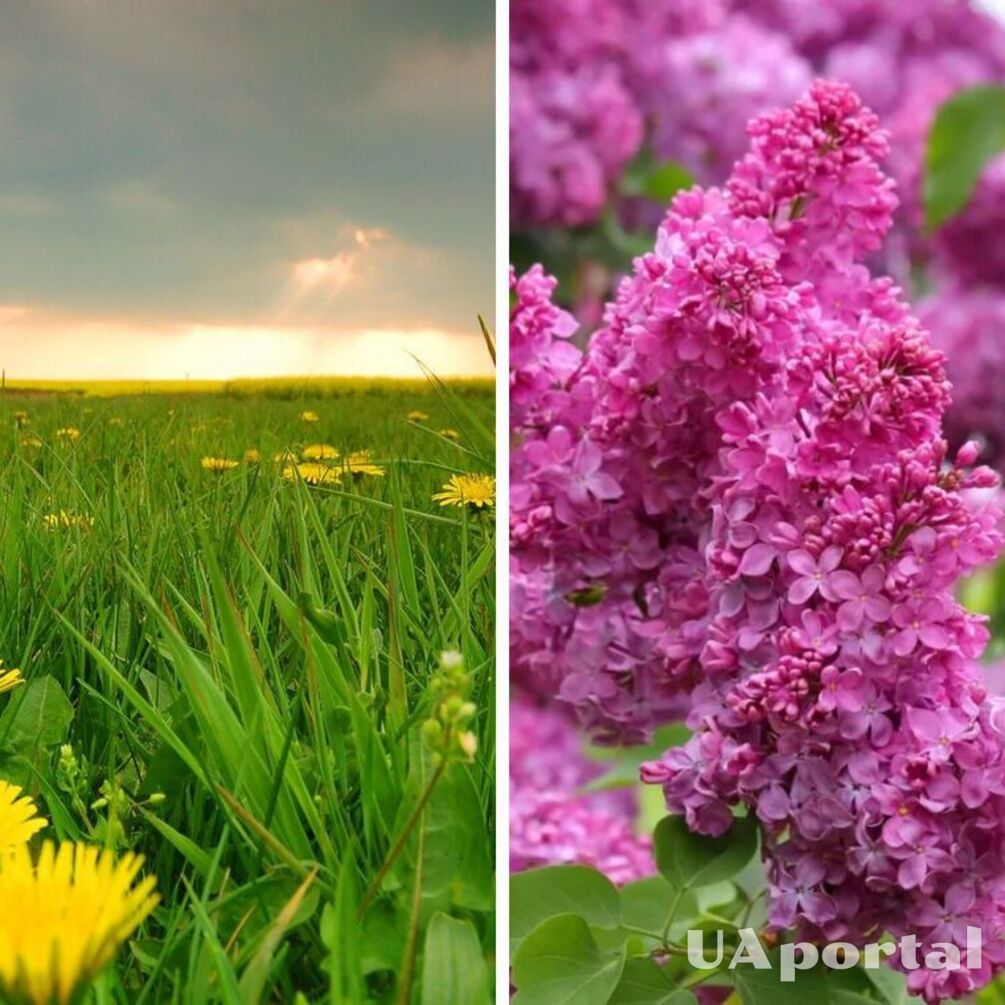 Грози та до 26 градусів тепла: прогноз погоди в Україні на тиждень