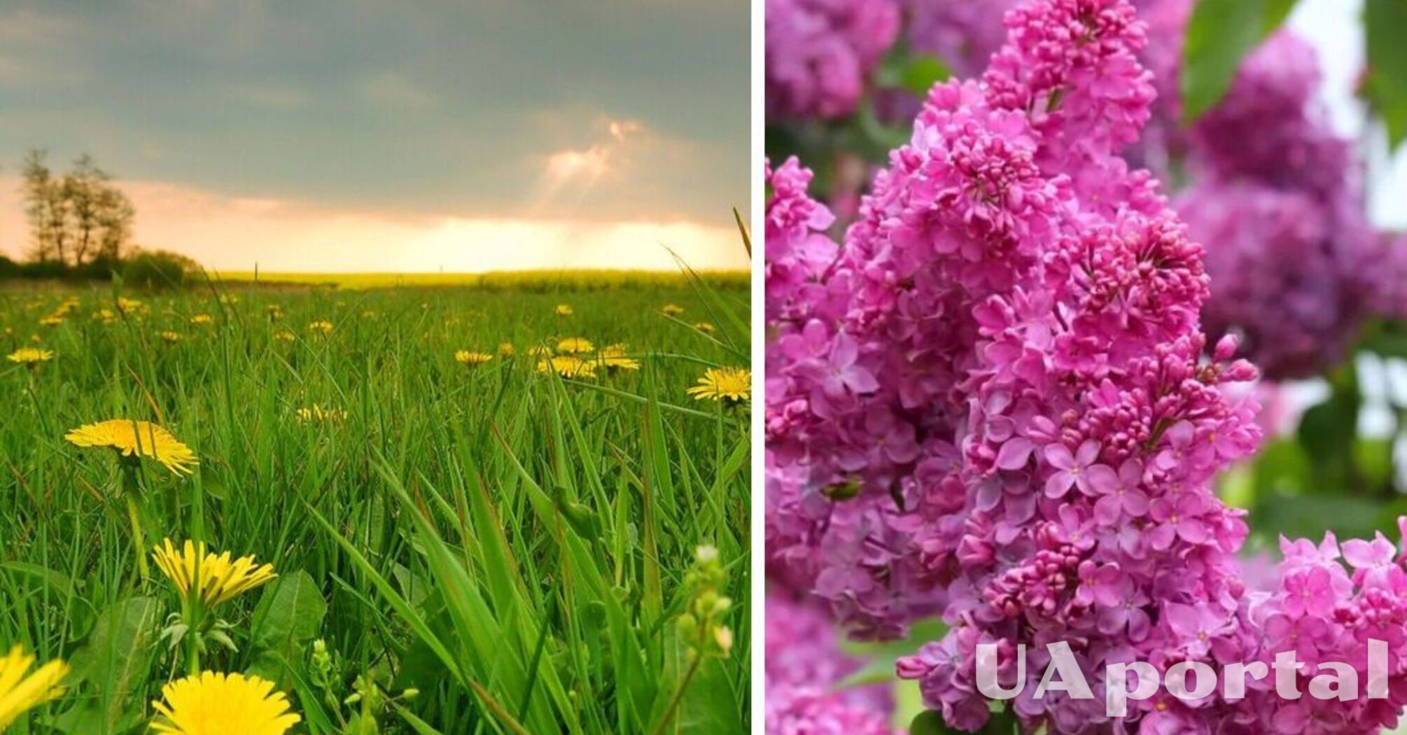 Гроза и до 26 градусов тепла: прогноз погоды в Украине на неделю