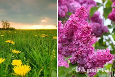 Гроза и до 26 градусов тепла: прогноз погоды в Украине на неделю