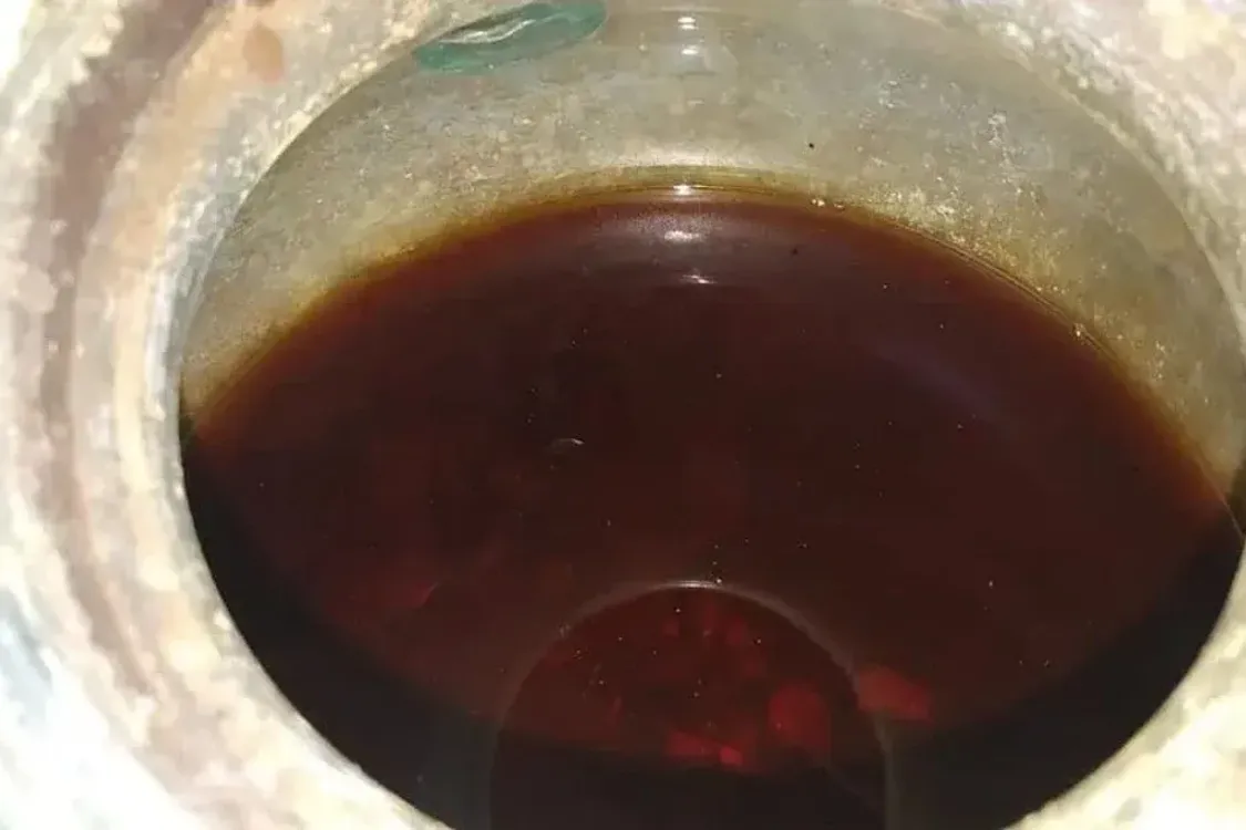 В Іспанії виявили найстаріше у світі рідке вино: чим унікальне (фото)