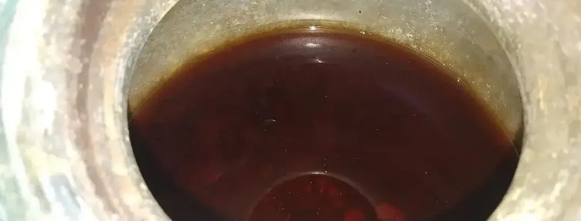 В Испании обнаружили старейшее в мире жидкое вино: чем уникально (фото)