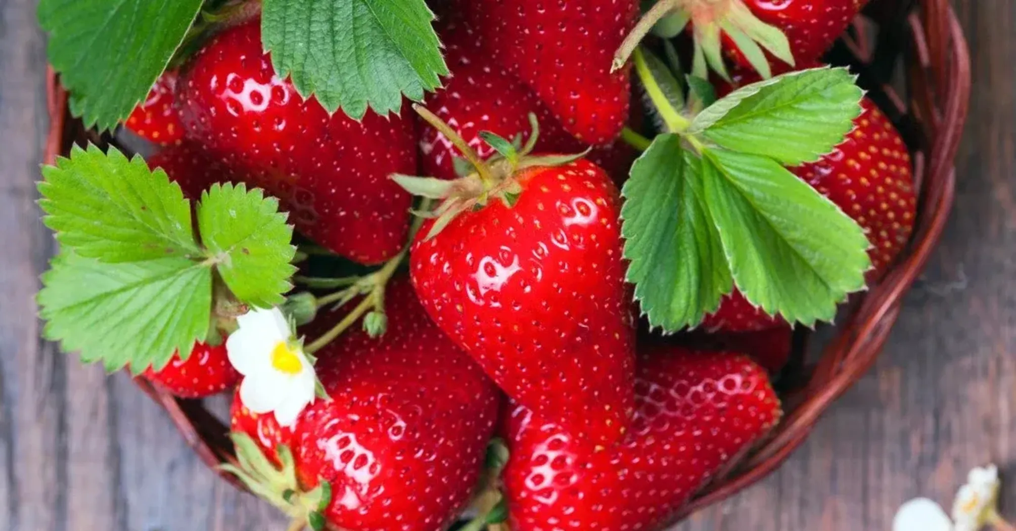 В Україні подешевшала популярна ягода: скільки коштує   