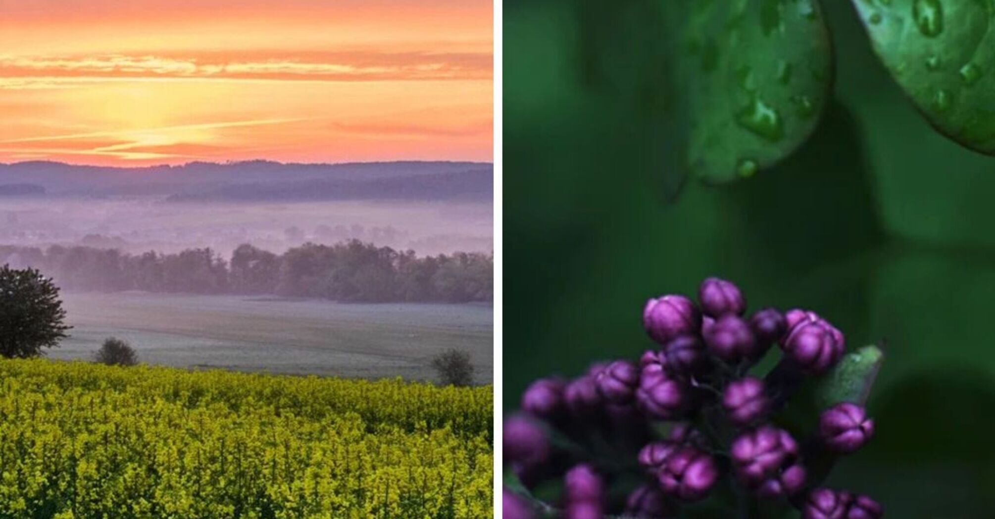 До 15 градусів вище нуля: коли очікувати потепління в Україні  