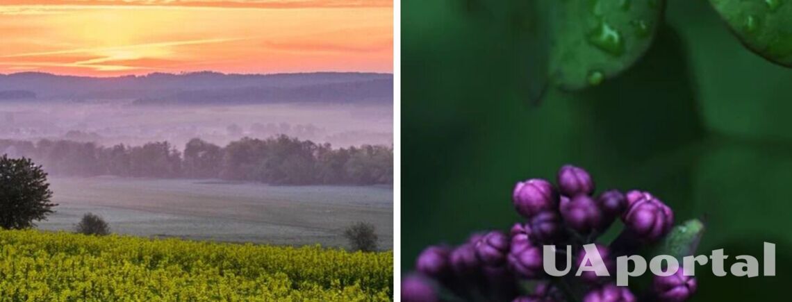 До 15 градусів вище нуля: коли очікувати потепління в Україні