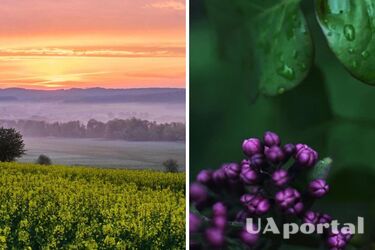 До 15 градусів вище нуля: коли очікувати потепління в Україні