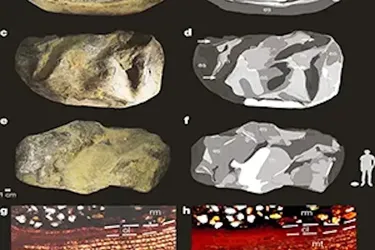 В Антарктиде нашли 'Вещь' – гигантское яйцо в возрасте 68 миллионов лет (фото)