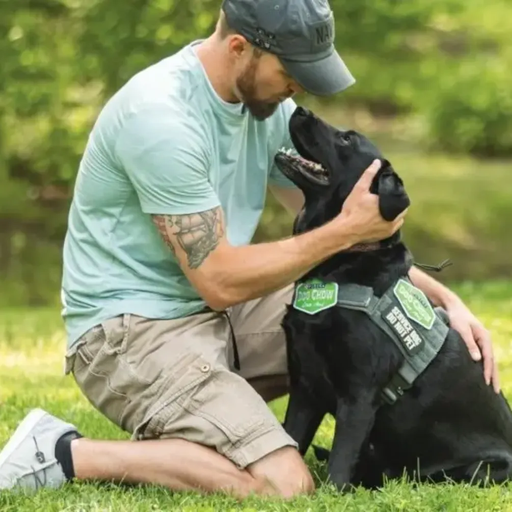 Как понять, что собака в стрессе: основные признаки