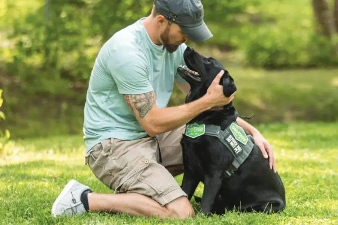 Як зрозуміти, що собака у стресі: основні ознаки