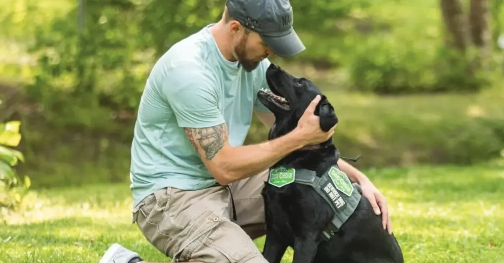 Как понять, что собака в стрессе: основные признаки