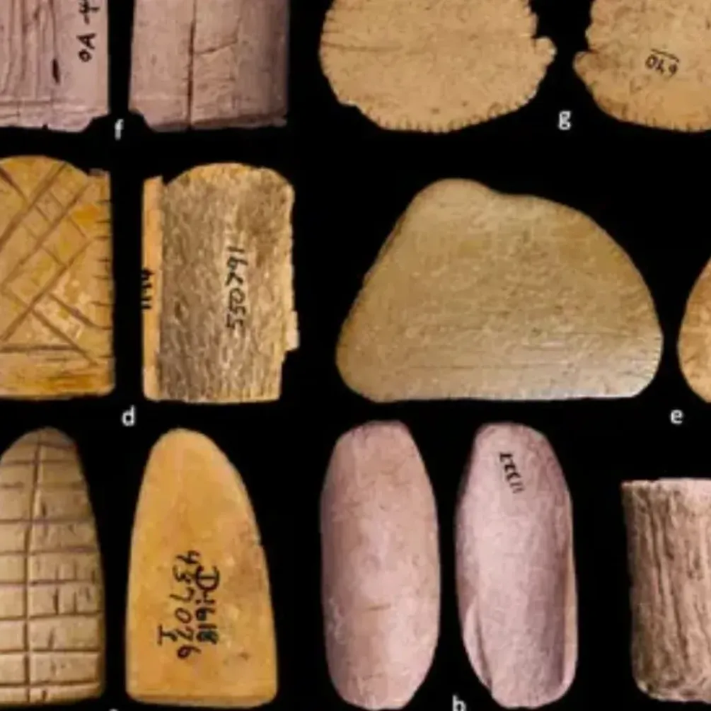 Археологи нашли на территории США игральные кости в возрасте 12 тысяч лет (фото)